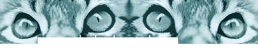 fotoschule_logo